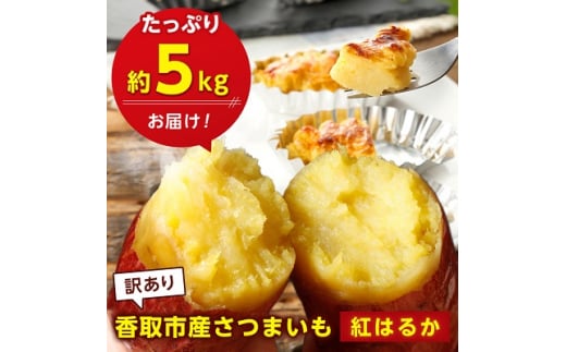 [ 訳あり ] 香取市産 さつまいも 紅はるか 約5kg ×1 _ サツマイモ さつま芋 焼き芋 べにはるか 送料無料 
