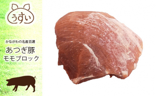 No.873 かながわの名産100選　あつぎ豚　 モモブロック ／ 豚肉 ブランド豚 名産 神奈川県 特産品