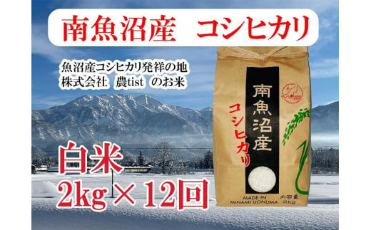 【定期便 南魚沼産】コシヒカリ 白米2kg×12回 1163950 - 新潟県南魚沼市