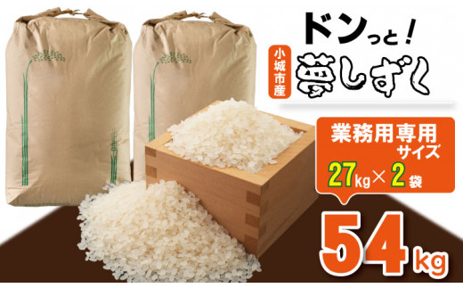 2017年 新米 玄米 さがびより 30キロ 白石産 佐賀 手渡し希望米/穀物