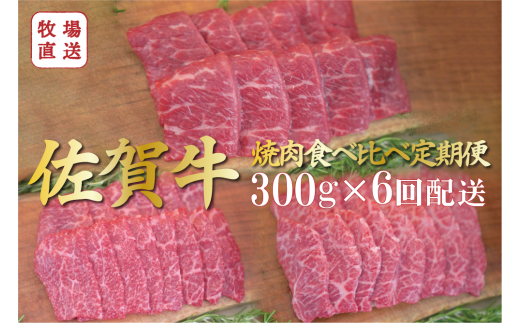 [定期便セット]全6回 佐賀牛の焼肉食べ比べセット / 焼肉用赤身・ロース・カルビ各300g TOMMY BEEF