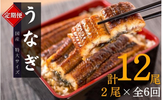 【全6回定期便】大型サイズ ふっくら柔らか 国産うなぎ蒲焼き 2尾×6回 計12尾 約2040g /  うなぎ ウナギ 鰻 国産 蒲焼 蒲焼き たれ 人気 定期便 ふるさと納税【tkb310】 2207328 - 和歌山県新宮市