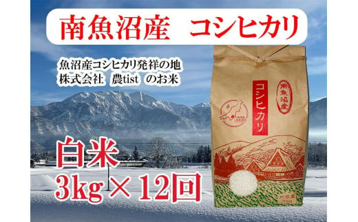 【定期便 南魚沼産】コシヒカリ 白米3kg×12回 1163953 - 新潟県南魚沼市