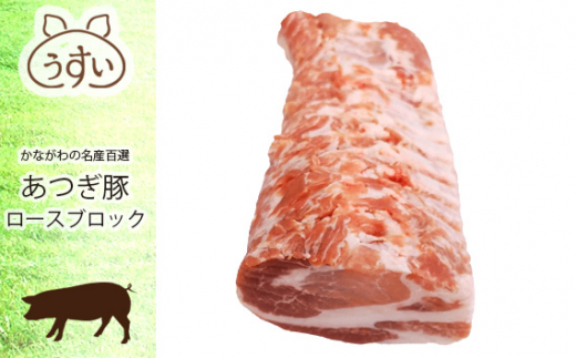 No.874 かながわの名産100選　あつぎ豚　ロースブロック ／ 豚肉 ブランド豚 名産 神奈川県 特産品