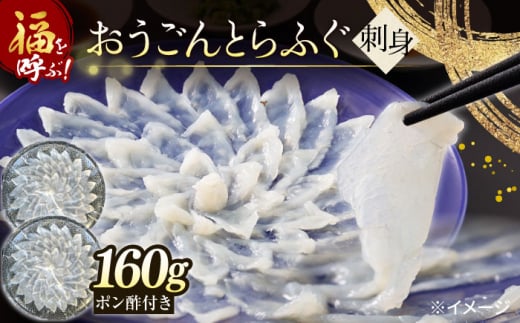 【先行予約】１月中旬発送開始 高級とらふぐをご家庭で！おうごんとらふぐ大皿刺身 合計160g（80g×2）【松永水産】 [KAB225] 1163938 - 長崎県平戸市