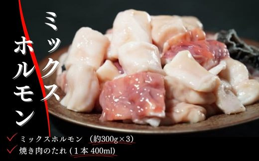 鳥取県産牛　焼肉用ミックスホルモンセット 国産 ホルモン 焼肉 小分け