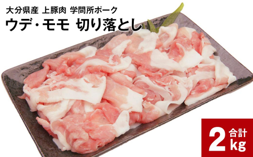 大分県産上豚肉 「学問所ポーク」 ウデ・モモ 切り落とし 真空パック 小分け 計2kg（250g×8パック）