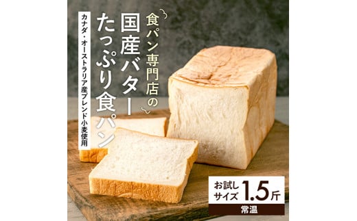 アラジントースターと相性抜群！食パン お試し 1.5斤サイズ×1本 生食パン 常温 パン ショートニング不使用 乳化剤不使用 離乳食