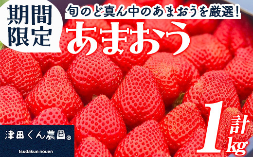 先行受付】【2024年発送】ニコン農園の家庭用アップルマンゴー約1.5kg