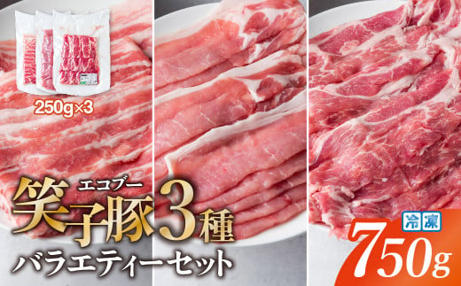 [お試し]豚肉 小分け 真空パック 冷凍 スライス肉 3種 バラエティーセット 750g (250g×3袋) 炒め物/焼肉用(厚さ3mm) 笑子豚 エコブー