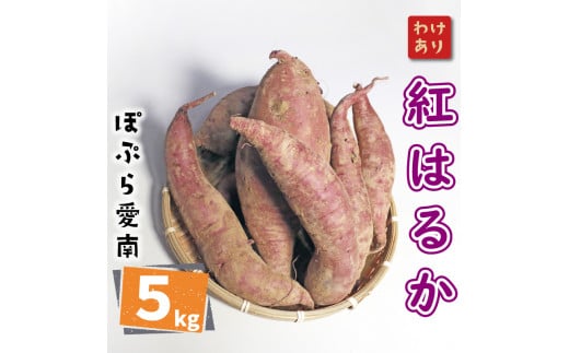 訳あり 紅はるか 5kg サイズミックス サツマイモ 焼き芋 干し芋 丸干し 冷凍焼き芋 冷やし焼き芋 やきいも 蜜芋 ほしいも スイートポテト  フライドポテト いも天 熟成 甘い ねっとり しっとり ほくほく 生芋 新芋 土付き 芋 いも 甘藷 べにはるか スイーツ おかず さつまいも 国産  人気