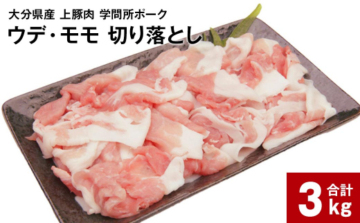 大分県産上豚肉 「学問所ポーク」 ウデ・モモ 切り落とし 真空パック 小分け 計3kg（250g×12パック）