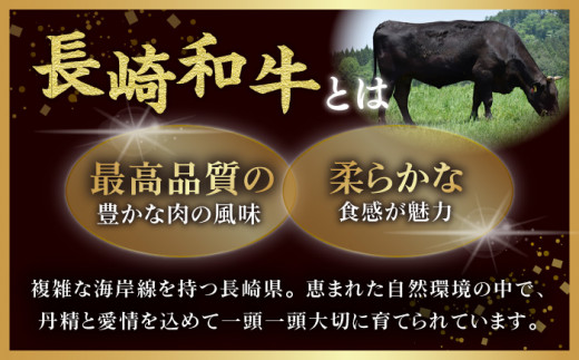 BAJ007 長崎和牛ヒレステーキ・サーロインステーキ食べ比べセット-2