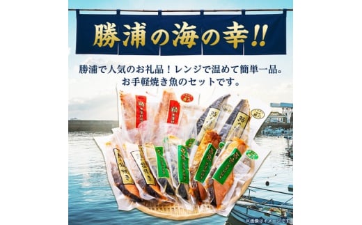 千葉県勝浦市のふるさと納税 焼き魚セット【1008364】