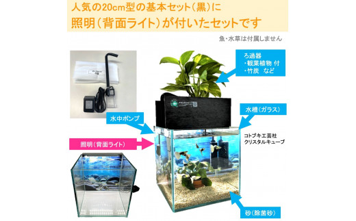 水槽セット せせらぎビオトープ 20cm型照明 植物 魚 (黒・グレー）※2025年3月20日まで北海道への発送不可（低温で商品が枯れるため） -  広島県東広島市｜ふるさとチョイス - ふるさと納税サイト