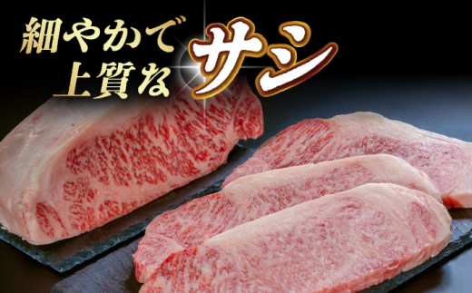 BAJ007 長崎和牛ヒレステーキ・サーロインステーキ食べ比べセット-5