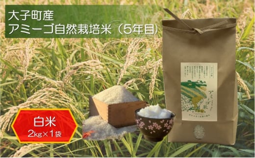 アミーゴ自然栽培米（5年目) 白米2kg 茨城県 大子町 米 [№5799-0749]
