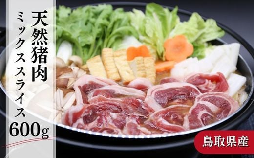 鳥取県産天然猪肉ミックススライス 600g ジビエ イノシシ 小分け 1166360 - 鳥取県倉吉市