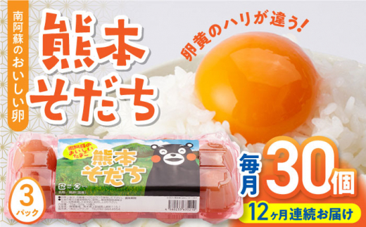 【全12回定期便】熊本そだち 30個入り ( 10個入り × 3パック ) 熊本県産 山都町 たまご 卵 玉子 タマゴ 鶏卵 オムレツ 卵かけご飯 朝食 料理 人気 卵焼き【蘇陽農場】[YBE032]