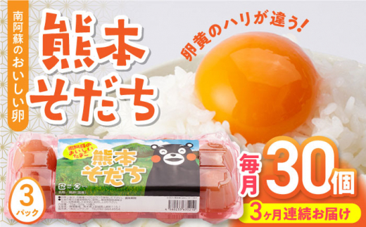 【全3回定期便】熊本そだち 30個入り ( 10個入り × 3パック ) 熊本県産 山都町 たまご 卵 玉子 タマゴ 鶏卵 オムレツ 卵かけご飯 朝食 料理 人気 卵焼き【蘇陽農場】[YBE030] 1166205 - 熊本県山都町