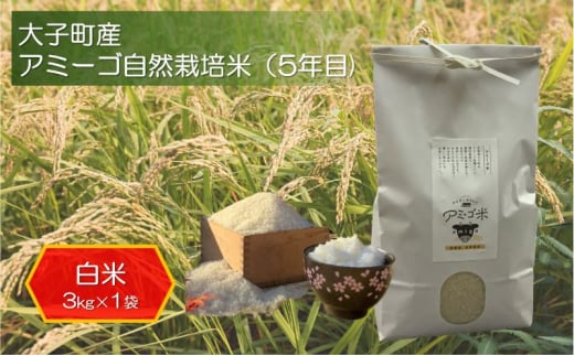 アミーゴ自然栽培米（5年目) 白米3kg 茨城県 大子町 米 [№5799-0750]