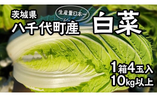 茨城県 八千代町産 白菜 はくさい 1箱 （ 4玉 ） 10kg 以上 生産量