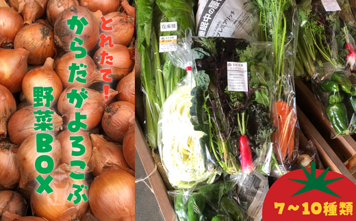 【夏限定】からだがよろこぶ野菜BOX-S 706419 - 千葉県鎌ケ谷市