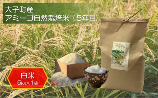 アミーゴ自然栽培米（5年目) 白米5kg 茨城県 大子町 米 [№5799-0751]