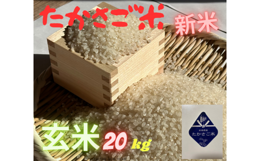 たかさご米 　玄米  ２０ｋｇ　結びのまち　高砂市 1172500 - 兵庫県高砂市