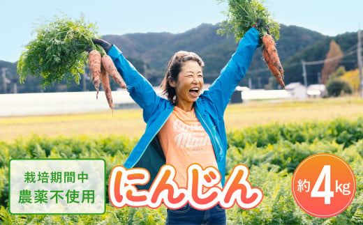 日本を平和にする人参 Peace&Carrots 約４㎏セット  人参 約4kg 栽培期間中 農薬不使用 にんじん ニンジン 野菜 カロテン 食物繊維 栽培期間中農薬不使用 463211 - 徳島県海陽町