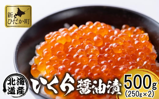 北海道 日高産 いくら 醤油漬 500g ( 250g × 2パック ) イクラ いくら丼 海鮮丼 魚介 海鮮 海産物