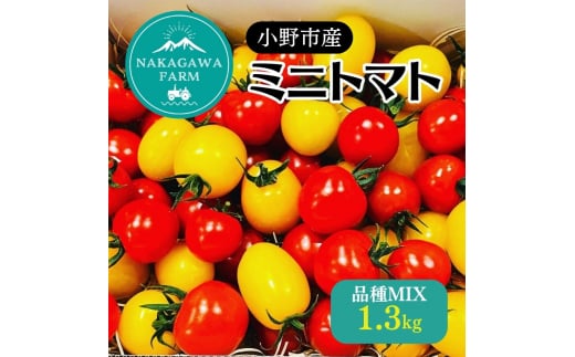 ミニトマト 品種 MIX 1.3kg[ トマト 有機質肥料 ] 1166643 - 兵庫県小野市