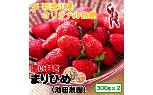 3月発送】和歌山県産ブランドいちご「まりひめ」約300g×4パック入り