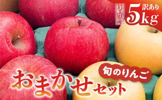 《先行予約》令和6年産 りんご 訳あり 5kg 品種おまかせ 2種類以上 【 サンふじ シナノゴールド 王林 はるか 奥州ロマン 陽光 】【令和6年11月下旬以降順次発送】 1132777 - 岩手県金ケ崎町