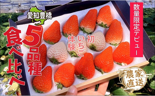 農家直送！『紅白いちご5品種食べくらべセット』（約330g×2箱）