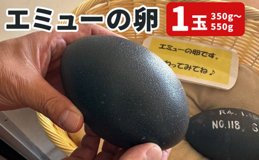 エミューの卵 350g～550g(1玉)｜ふるラボ