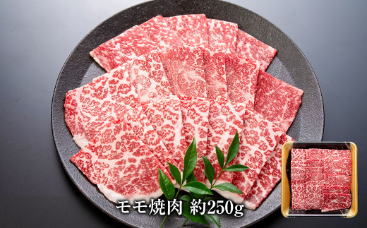 博多和牛の部位別焼肉食べ比べセット 550g (モモ焼肉 約250g＋肩ロース焼肉 約300g)