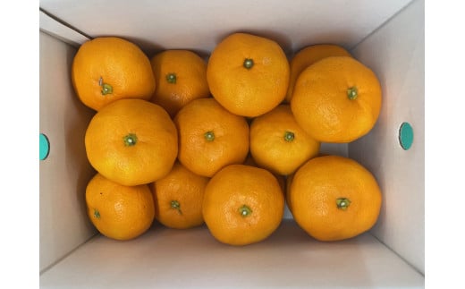 数量限定！ 温州みかん「ひめのか」を開発した愛媛県果樹研究センターが栽培！ 温州みかん 2kg 1箱  【1月上旬より順次発送】