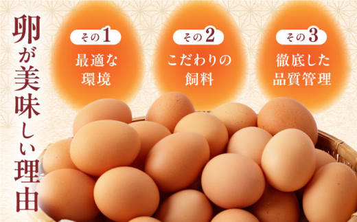 蘇陽の月 60個入り ( 10個入り × 6パック ) 熊本県産 山都町 たまご 卵
