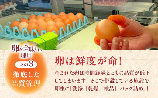 熊本そだち 30個入り ( 10個入り × 3パック ) 熊本県産 山都町 たまご 卵