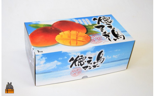 徳之島産完熟マンゴー1kg（2玉～3玉）は冷蔵配送でお届けします。