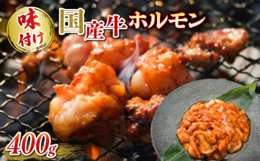 国産牛 ホルモン ホソ 味付け 400g いづつ屋 ( 焼肉 BBQ 国産 牛肉 ホソ 牛 肉 特製 タレ漬け ホルモン焼き もつ 冷凍 送料無料 京都  ) 1214611 - 京都府京都府庁