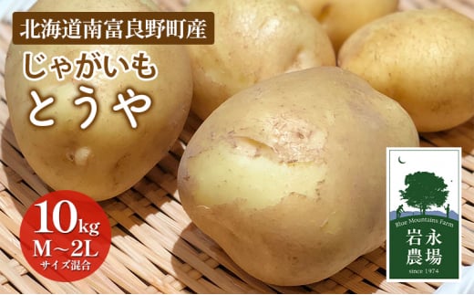 北海道 南富良野町 じゃがいも「とうや」10kg(M～2Lサイズ混合) じゃがいも ジャガイモ とうや 野菜 やさい 1171271 - 北海道南富良野町
