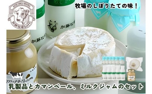[№5712-0579]加藤牧場 乳製品とカマンベール、ミルクジャムのセット 704670 - 埼玉県日高市