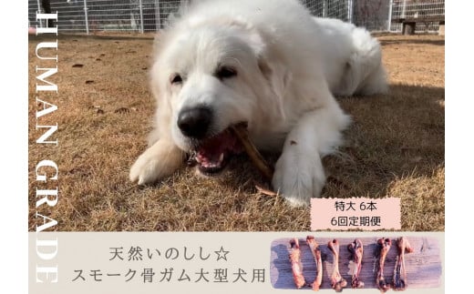 FB146 大型犬向け☆天然いのししのスモーク骨ガム6本【定期便】全6回