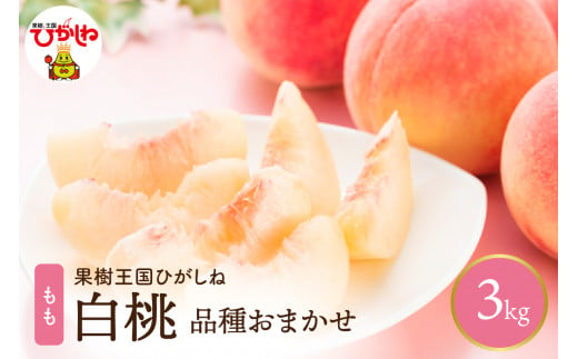 白桃品種おまかせ  約3kg(7～12玉入)　晴天畑提供　hi004-hi026-028 928725 - 山形県東根市
