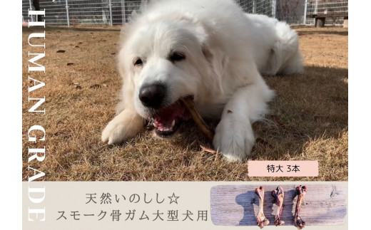 FB142　大型犬向け☆天然いのししのスモーク骨ガム3本