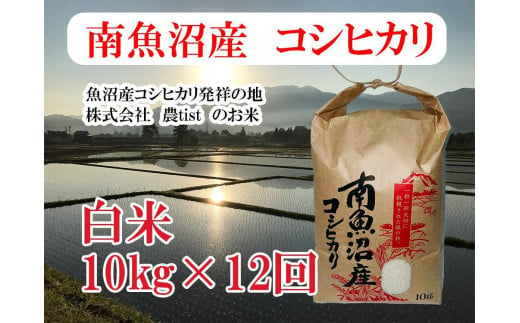 【定期便 南魚沼産】コシヒカリ 白米10kg×12回 546296 - 新潟県南魚沼市