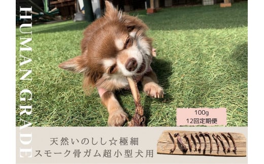 FB079 超小型犬向け☆天然いのししのスモーク骨ガム100g【定期便】全12回