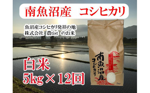 【定期便 南魚沼産】コシヒカリ 白米5kg×12回